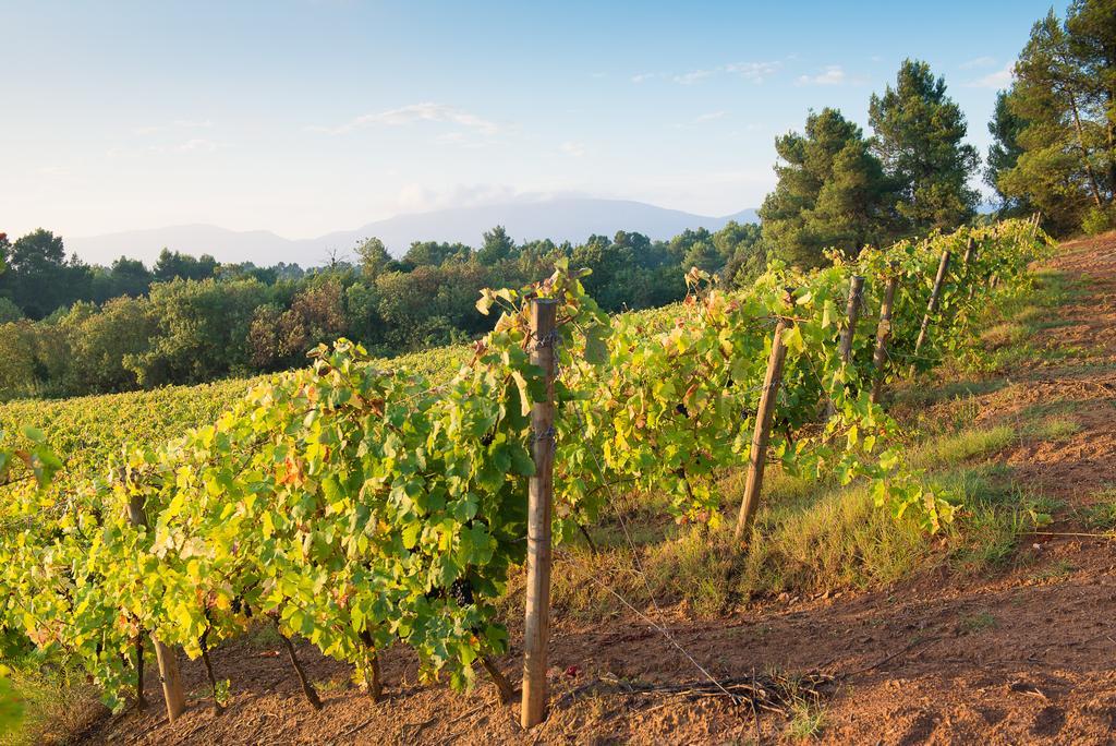 Rustiques Chateau Canet 빌라 외부 사진