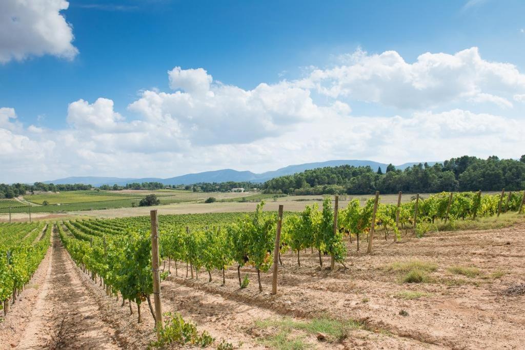 Rustiques Chateau Canet 빌라 외부 사진